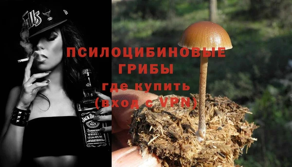 первитин Богородск