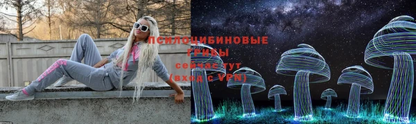гидропоника Богданович