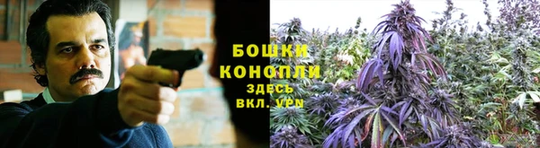 spice Саяногорск