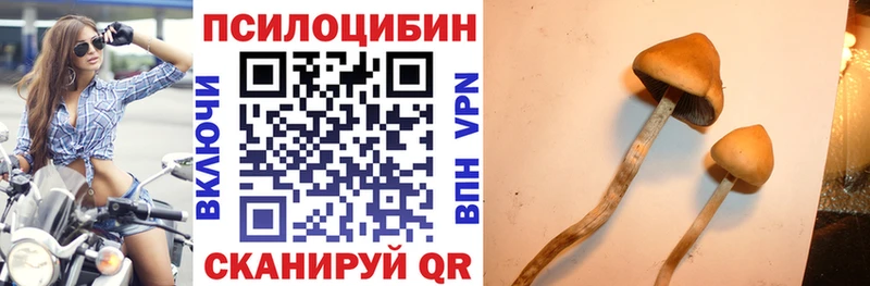 сайты даркнета какой сайт  Мензелинск  Псилоцибиновые грибы Psilocybe 